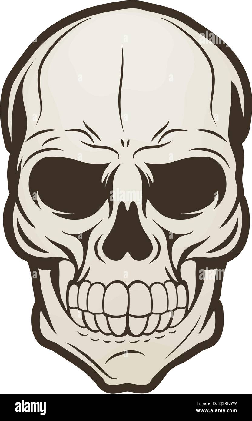 Skeleton Head Drawing  How To Draw A Skeleton Head Step By Step