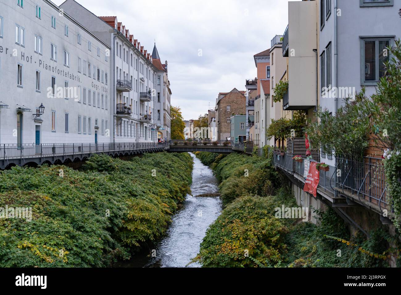 Little stream Triebisch in the city of Meissen. Plants and bushes in