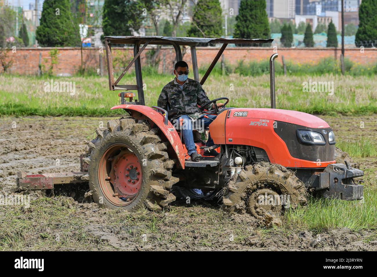 HEFEI, CHINA - APRIL 9, 2022 - A wheeled tractor equipped with rotary  cultivator flatters the ground at the Experimental field of Rice Research  Instit Stock Photo - Alamy