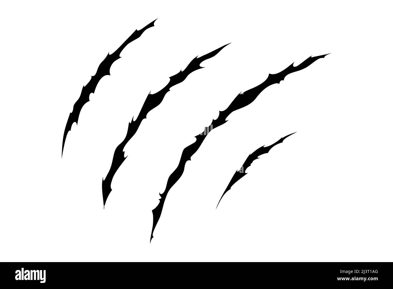 Claw scratches of wild animal. Cat scratches marks isolated in white