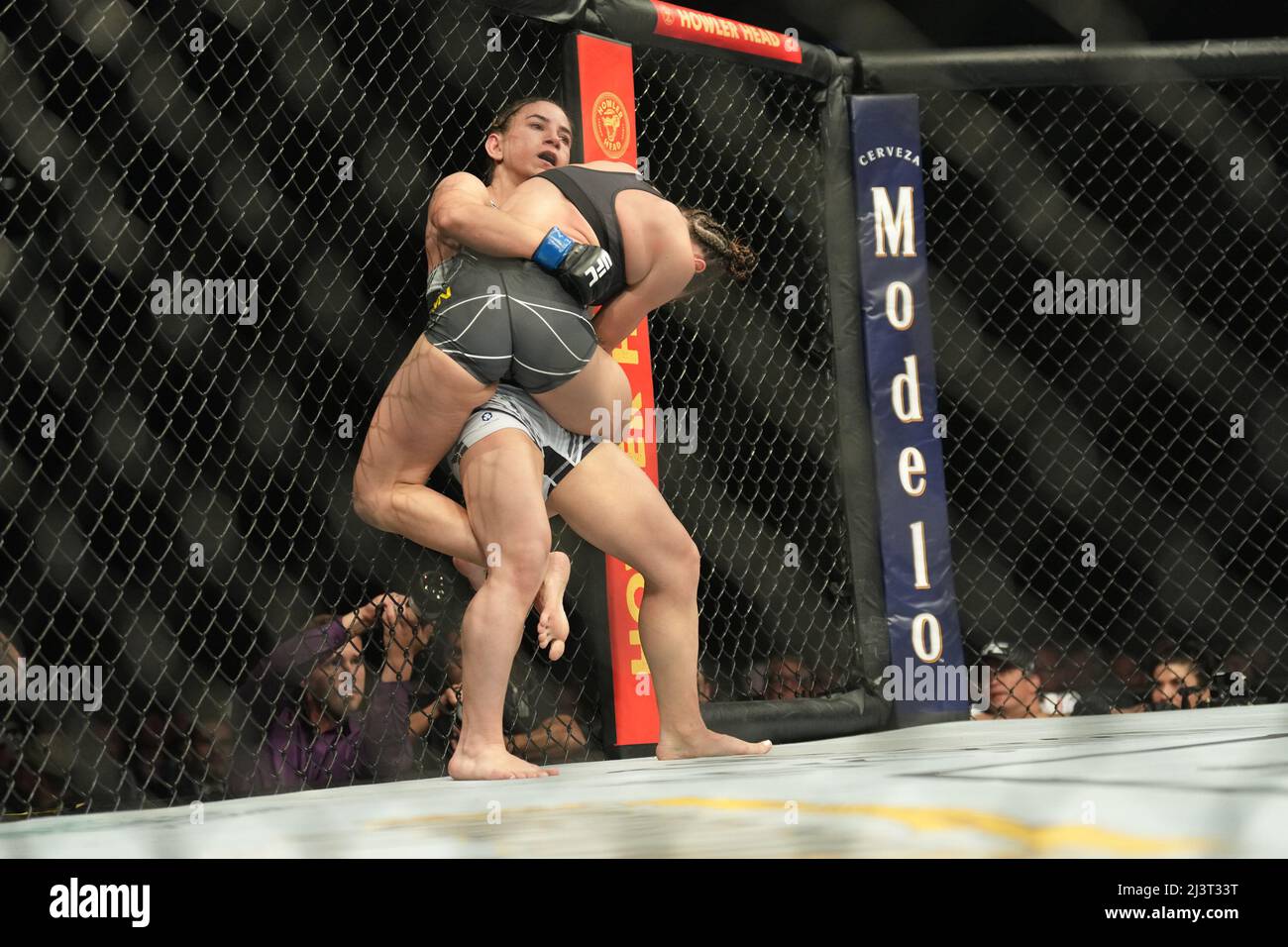 Mackenzie dern hi-res stock photography and images - Alamy