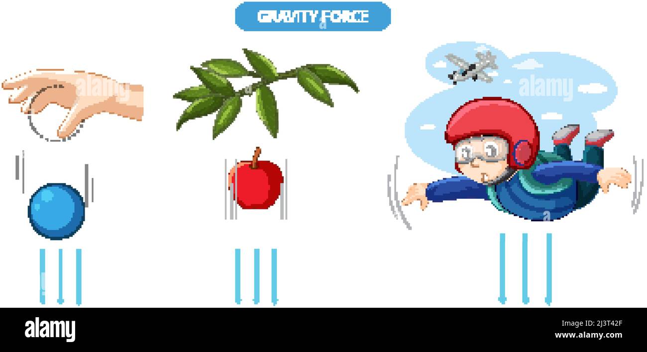Gravity force experiment example illustration Stock Vector Image & Art ...
