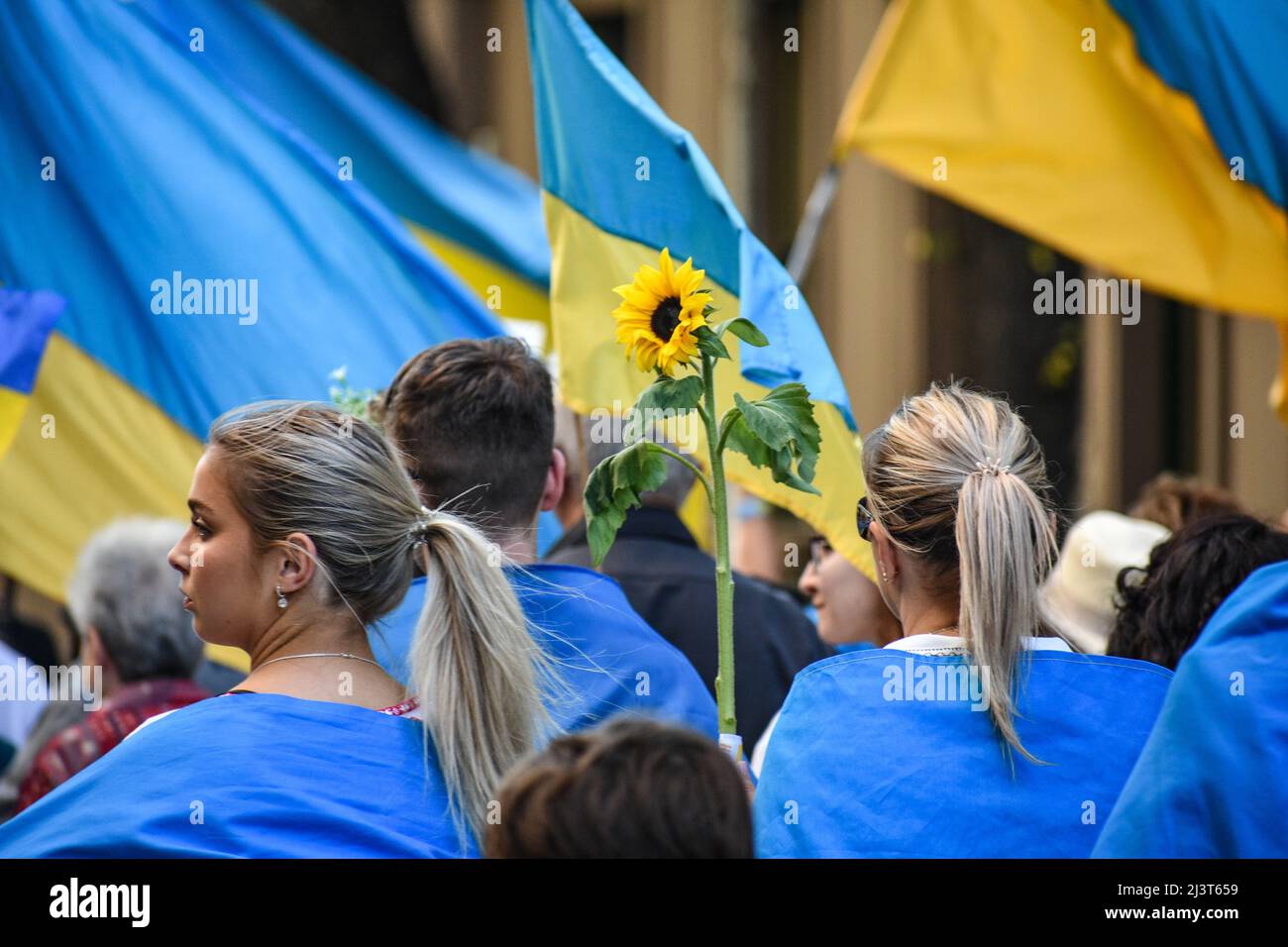 Melbourne, Australia. 10th Apr, 2022. Pro-Ukrainian supporters marchning through Melbourne hold a sunflower, a Ukrainian symbol of resistance against the Russian invasion. Credit: Jay Kogler/Alamy Live News Stock Photo