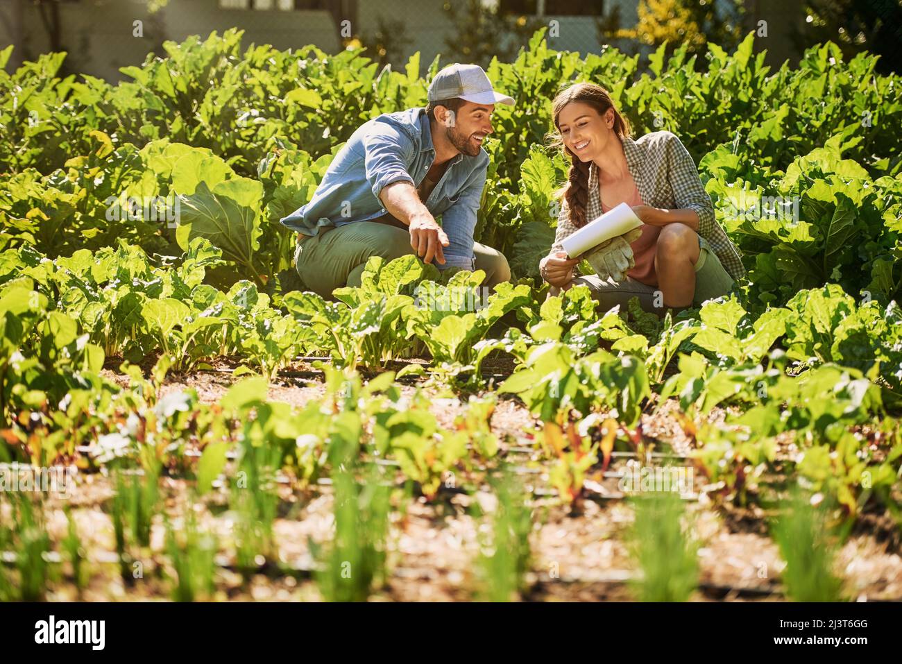 Healthy crops are a cause for excitement. Shot of two happy young farmers working together in the fields on their farm. Stock Photo