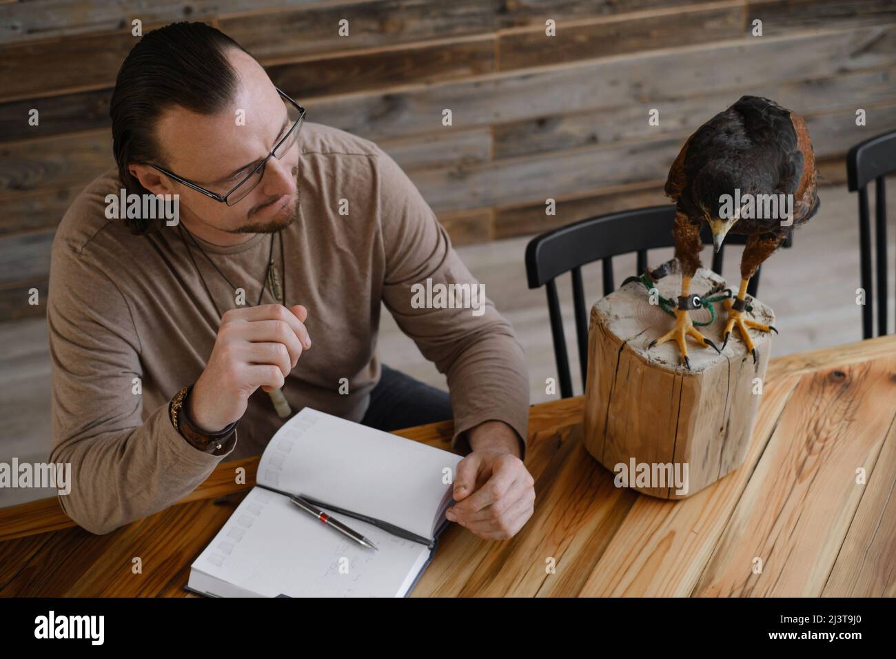 Man is working, writing with wild bird at home by the table. Making noted, memories, diary with eagle as pet. Unusual animals at home. Human Stock Photo