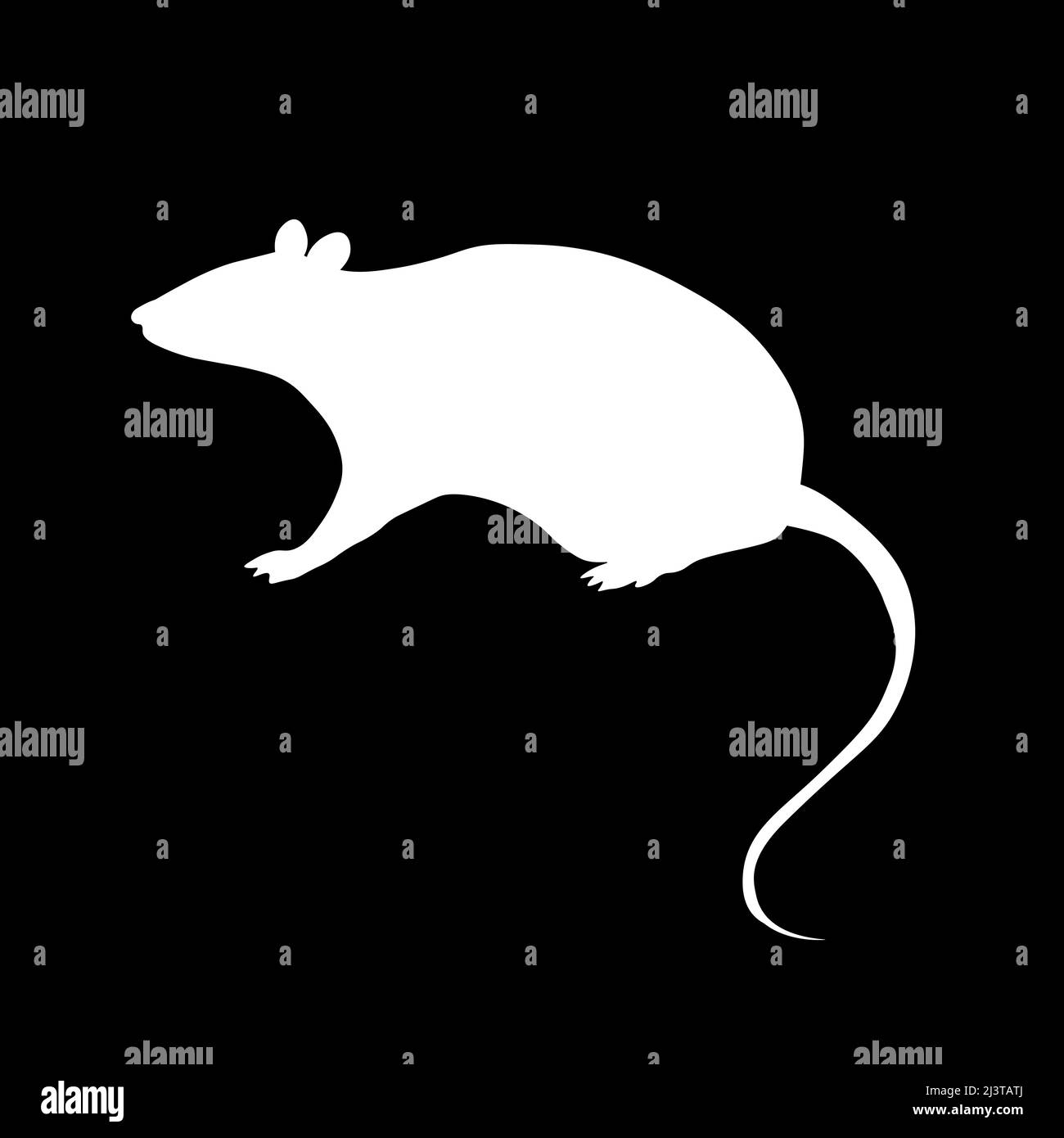 Flat vector stock illustration, white rat on the black background Stock Vector