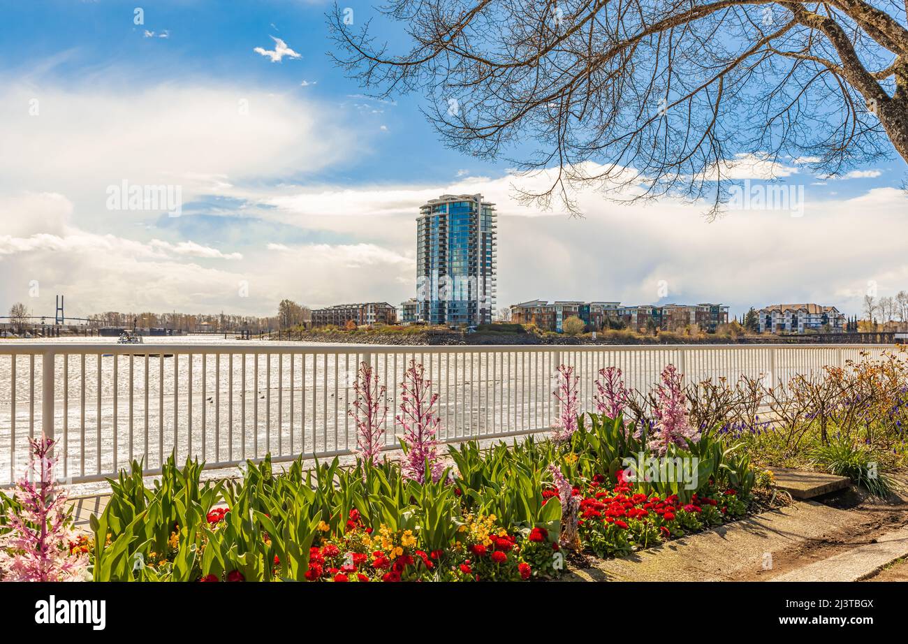 New riverpark hi-res stock photography and images - Alamy