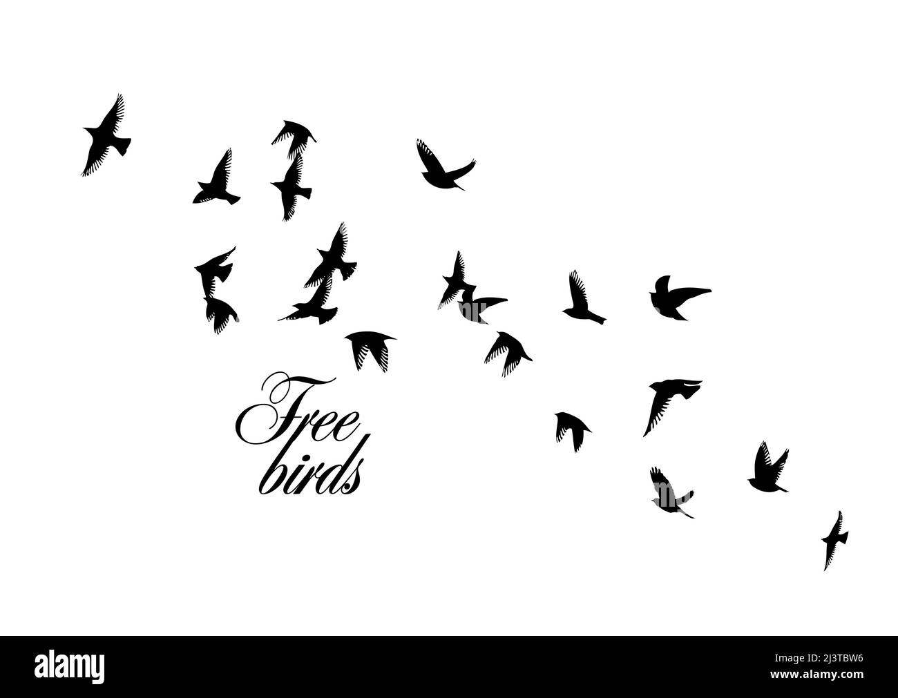 A flock of flying birds. Free birds. Vector illustration Stock Vector