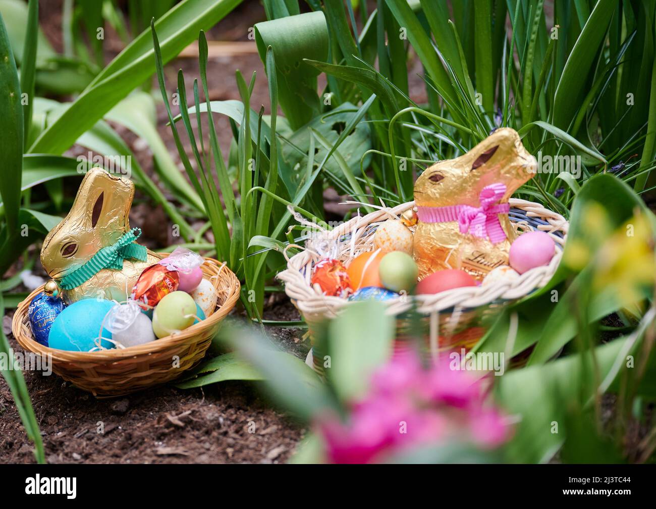 Berlin, Germany. 01st Apr, 2022. ILLUSTRATION Two Easter nests with chocolate bunnies, colored