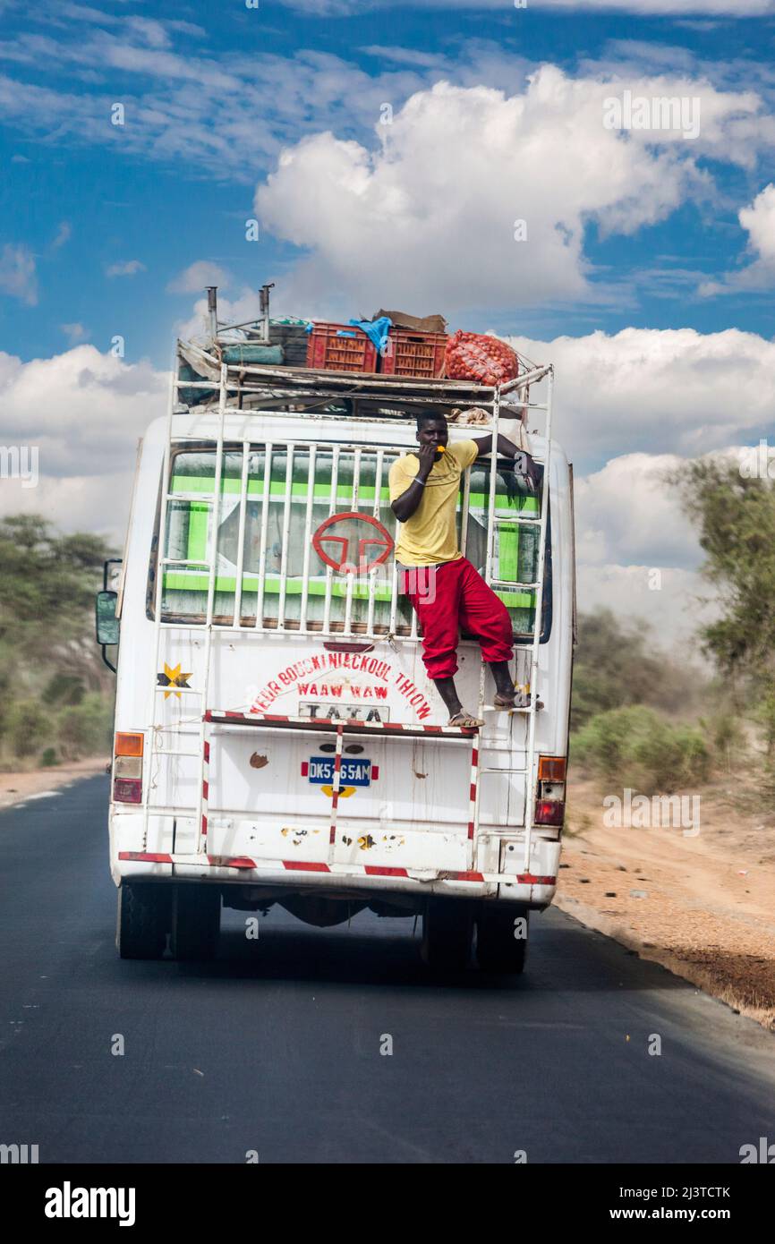 Senegal, Highway Safety. Man Eating a Mango while resting on a railing on the back of a bus.  No seat belt here! Stock Photo