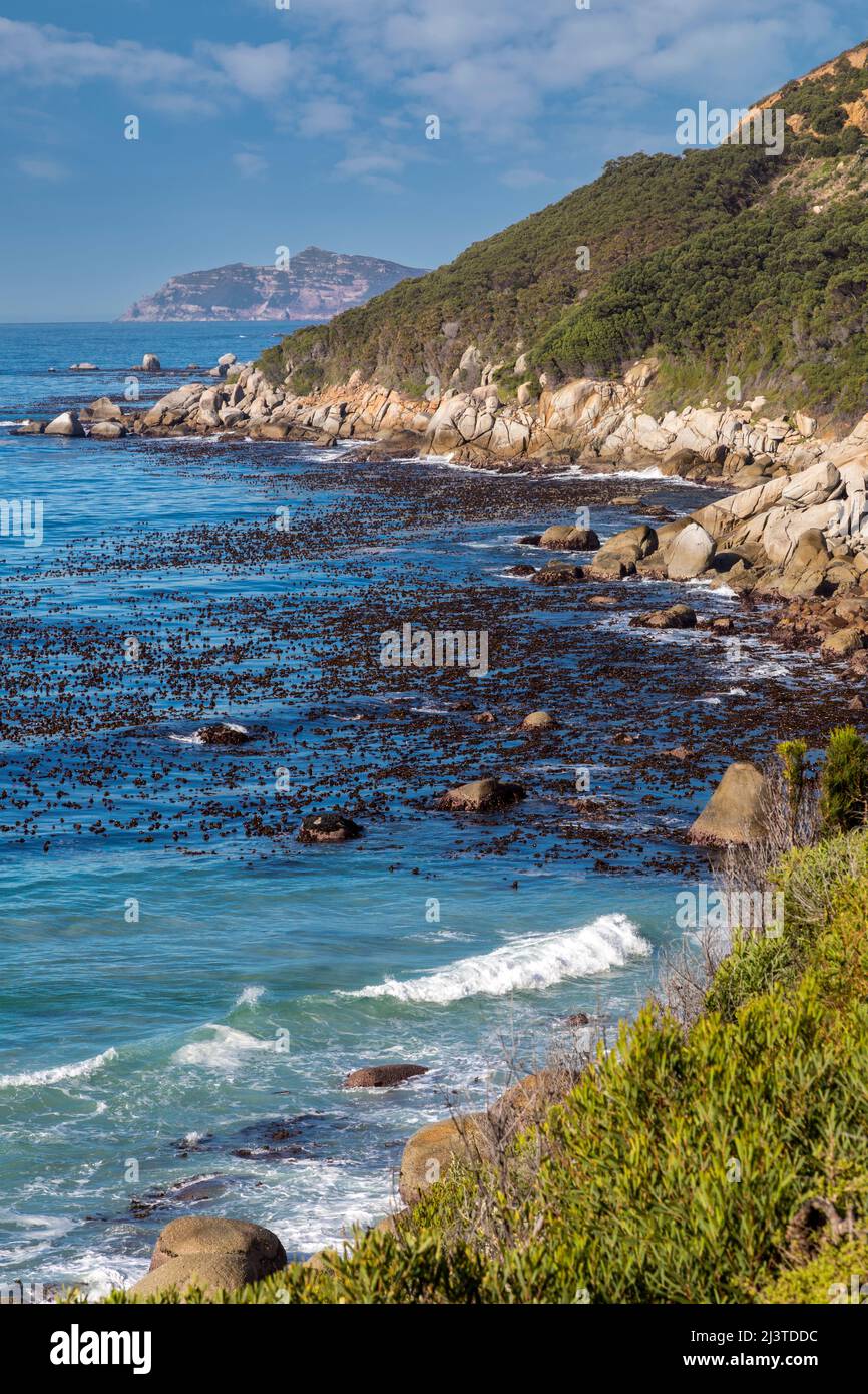 South Africa.  Looking toward Cape Point, southwesternmost point of the African continent.  False Bay on left. Stock Photo