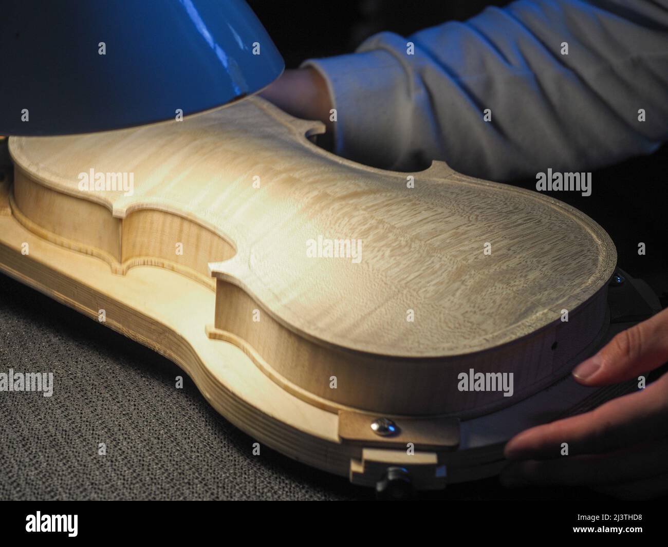 luthier working on a new violin in his workshop Stock Photo
