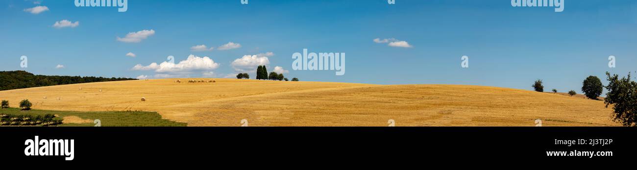 rural landscape with field after harvest and bale of straw under blue ...