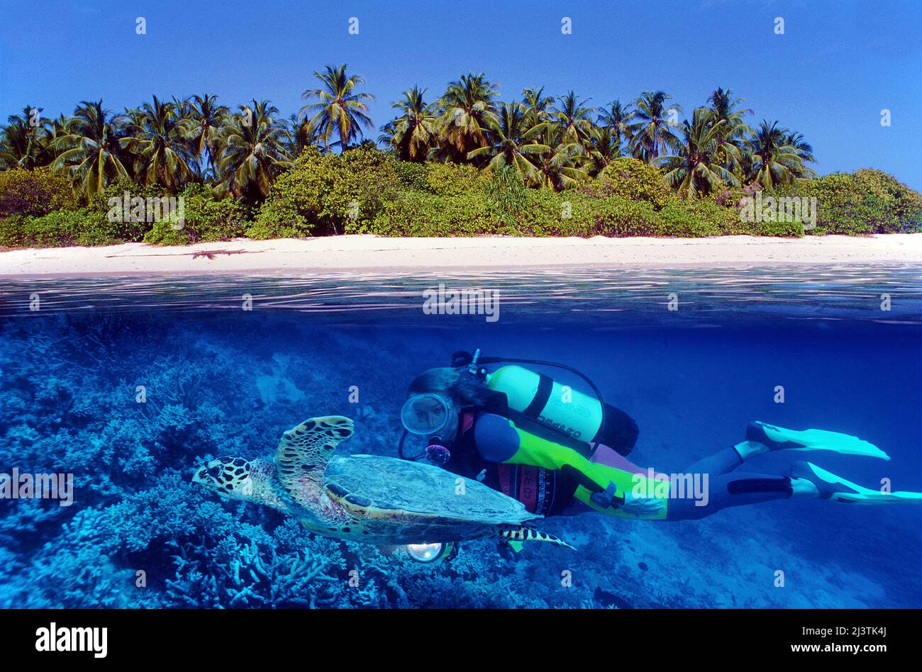 Split image, maldivian island, scuba diver with a loggerhead turtle (Caretta caretta), Ari Atoll, Maldives, Indian ocean, Asia Stock Photo