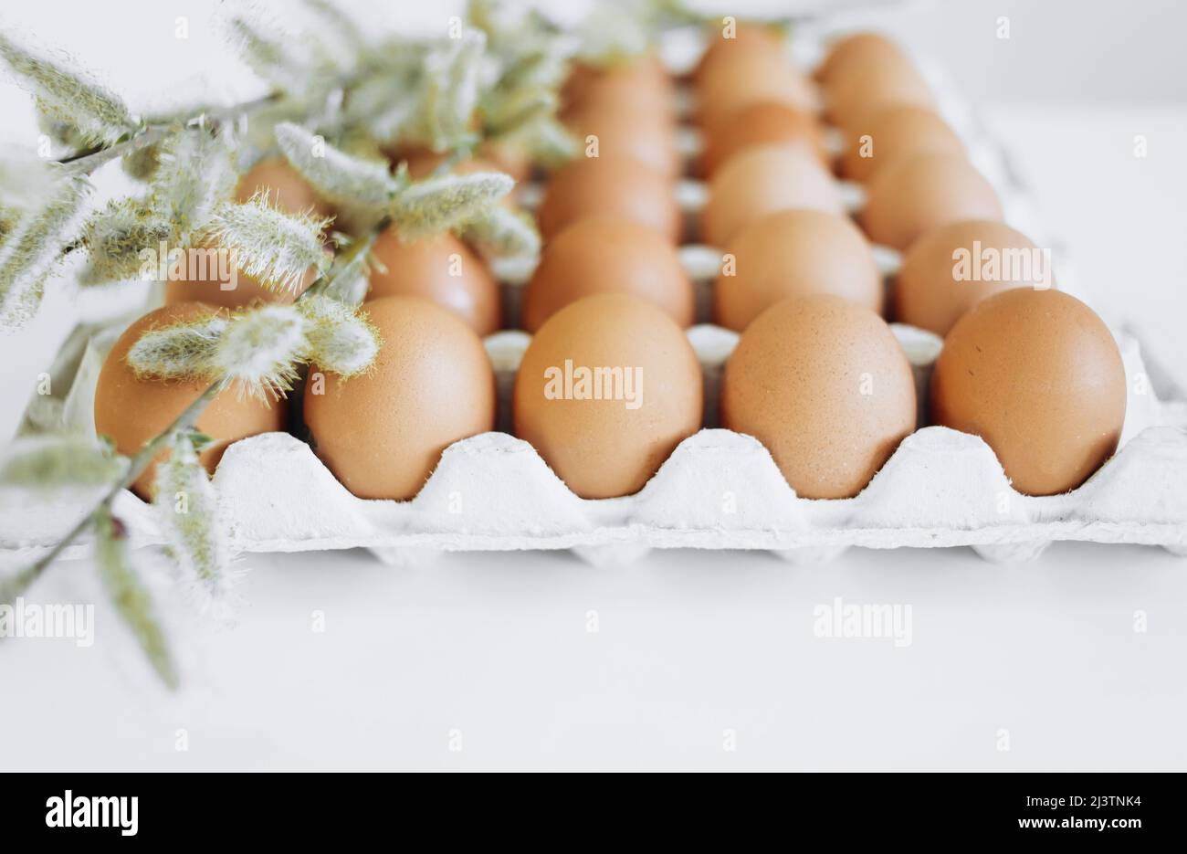 Willow branches and eggs lie in a cardboard tray on a white backround. Stock Photo