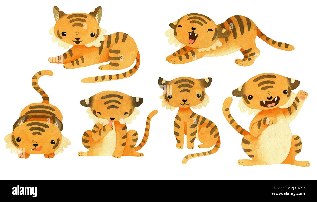 Watercolor cute little Tiger. Isolated on white background Stock Photo ...