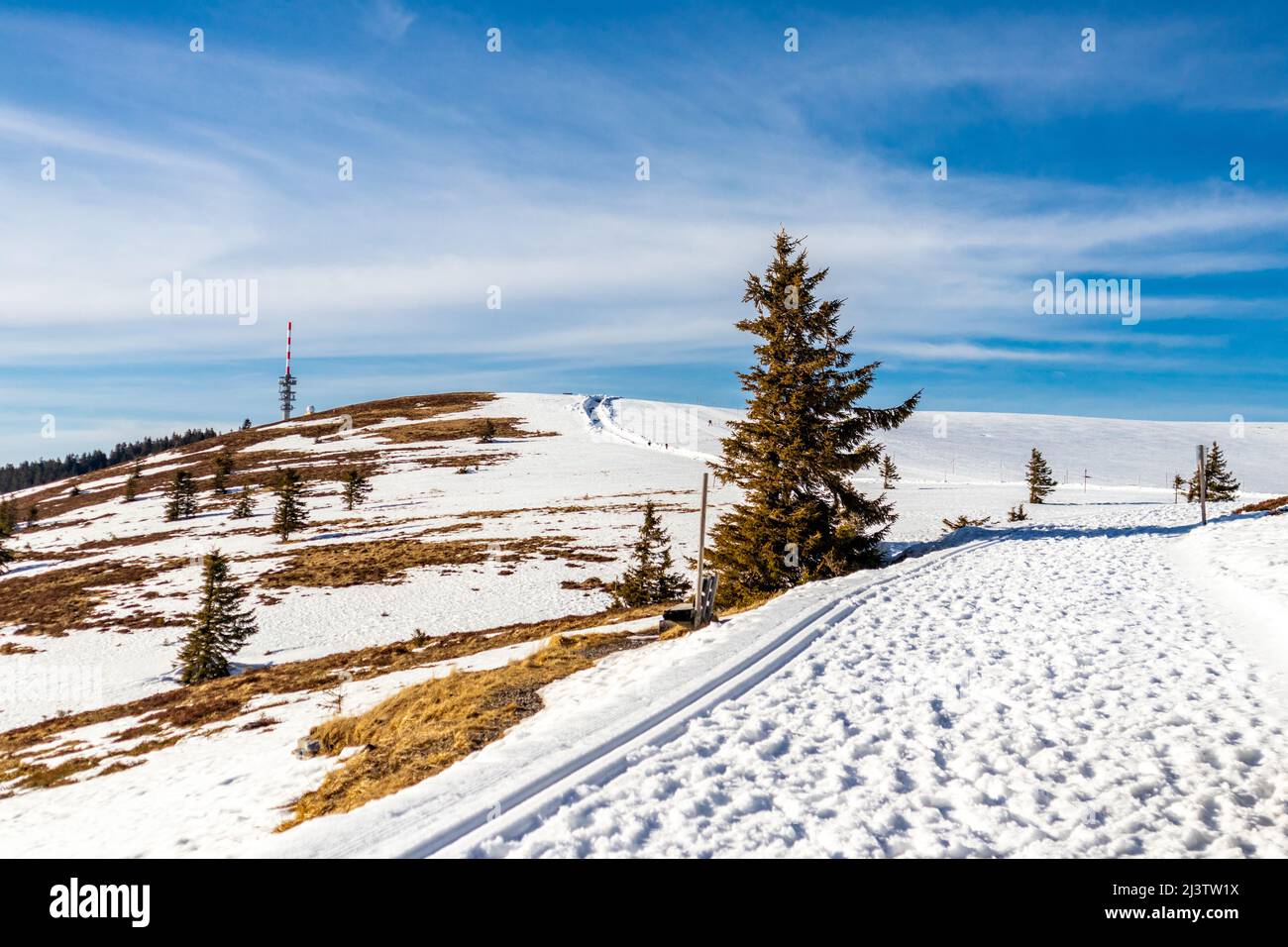 Discovery tour of the Feldberg in the Black Forest - Baden-Württemberg - Germany Stock Photo