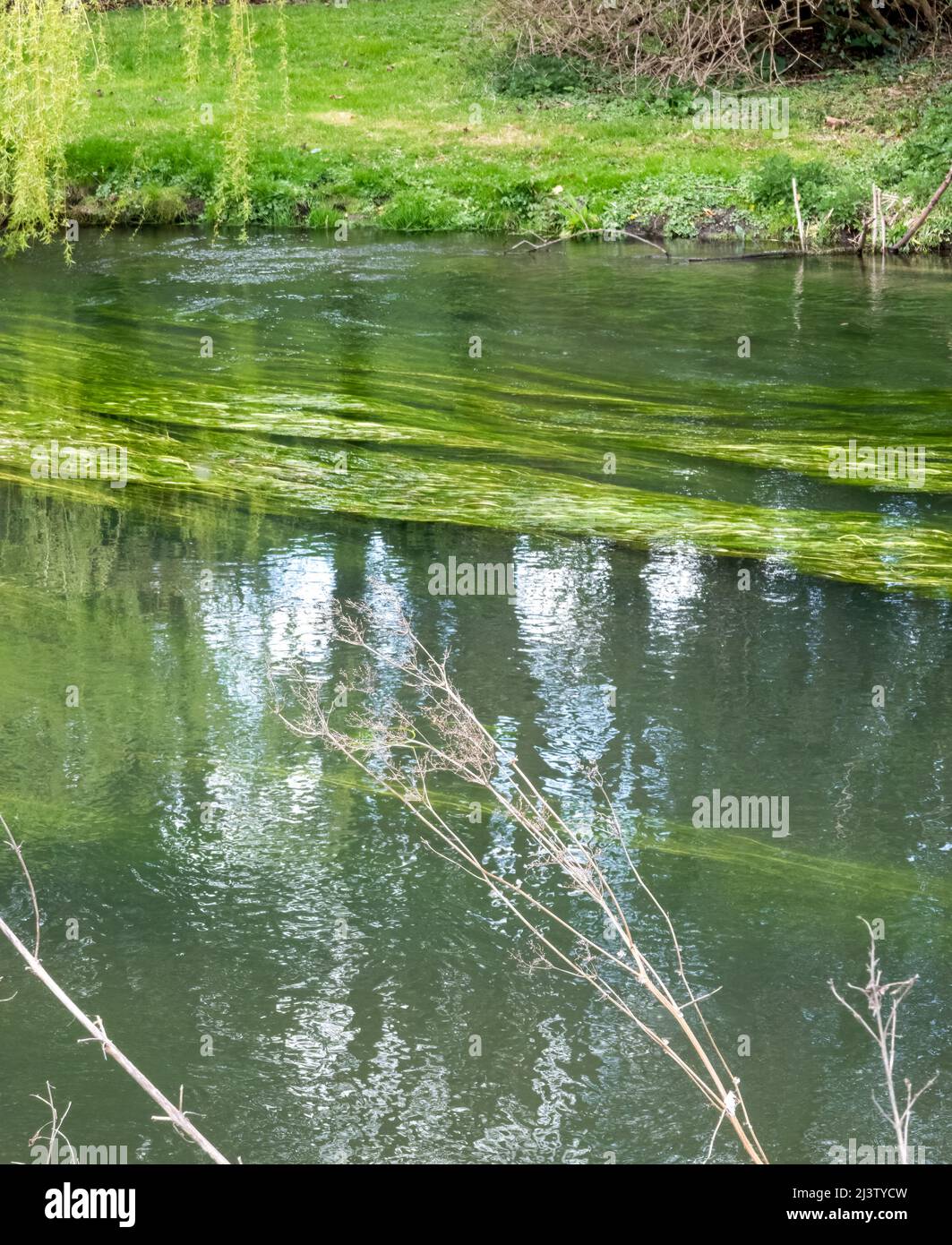 Wiltshire Rivers a scenic view along the world heritage site river avon in Wiltshire ...
