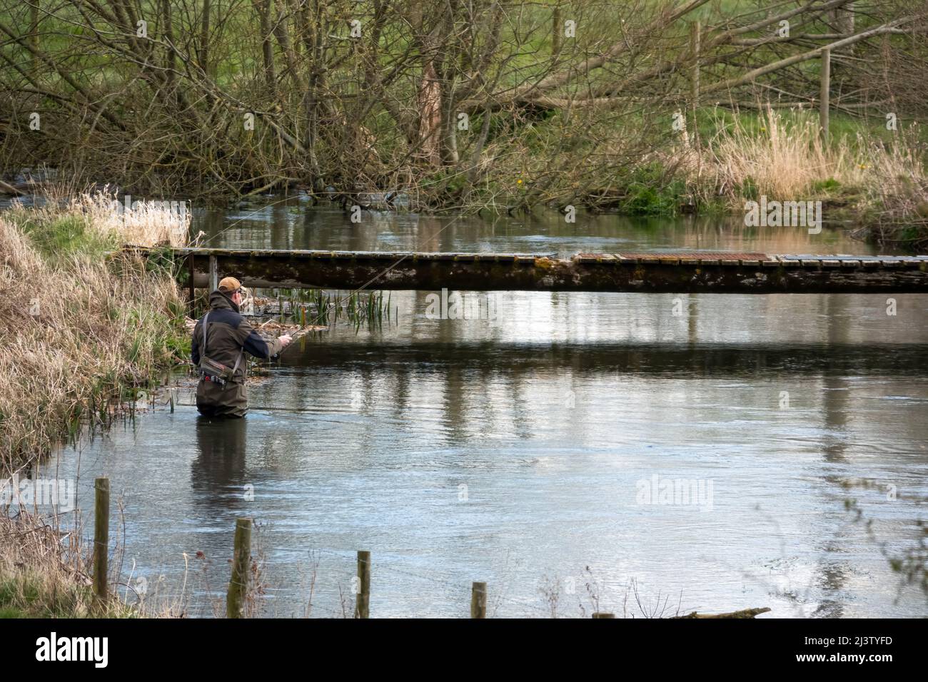 a man in chest waders stands in the river Avon, Wiltshire fly fishing