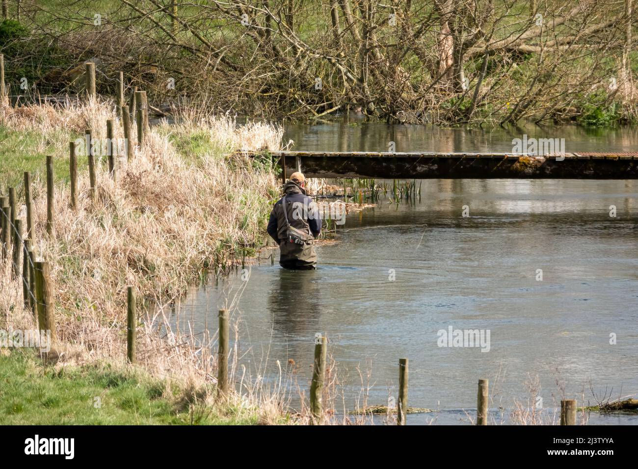 a man in chest waders stands in the river Avon, Wiltshire fly fishing
