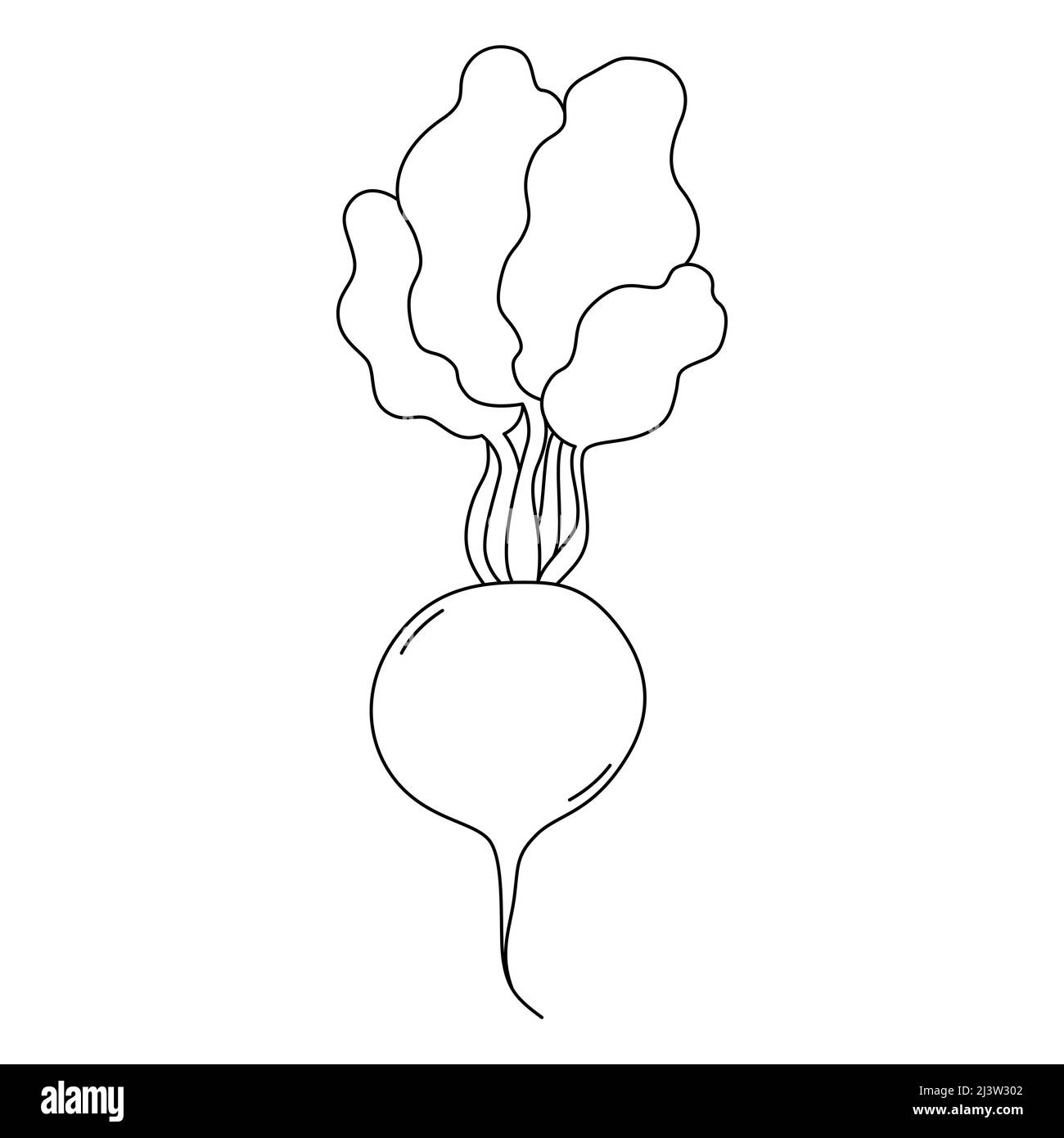Black and white vector illustration of radish for coloring book. Cartoon style Stock Vector