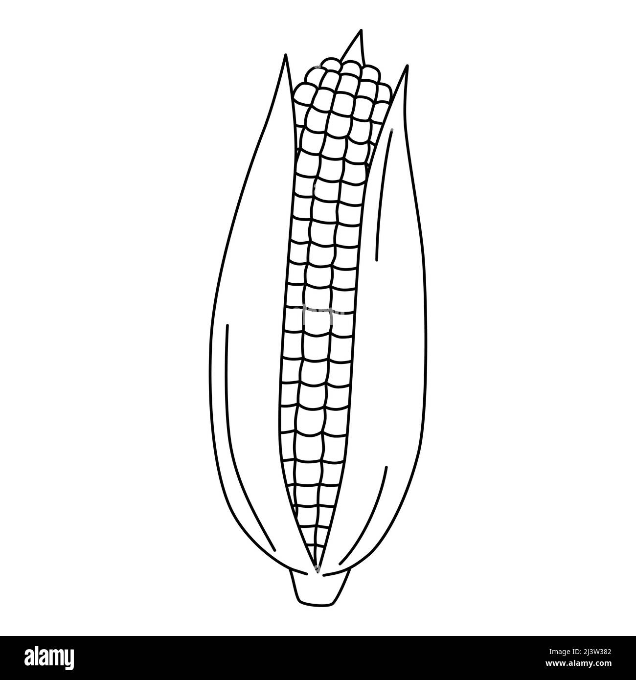 Cartoon maize ear coloring page. Vector illustration of mature corn isolated on white background. Black and white corn cob for coloring book Stock Vector