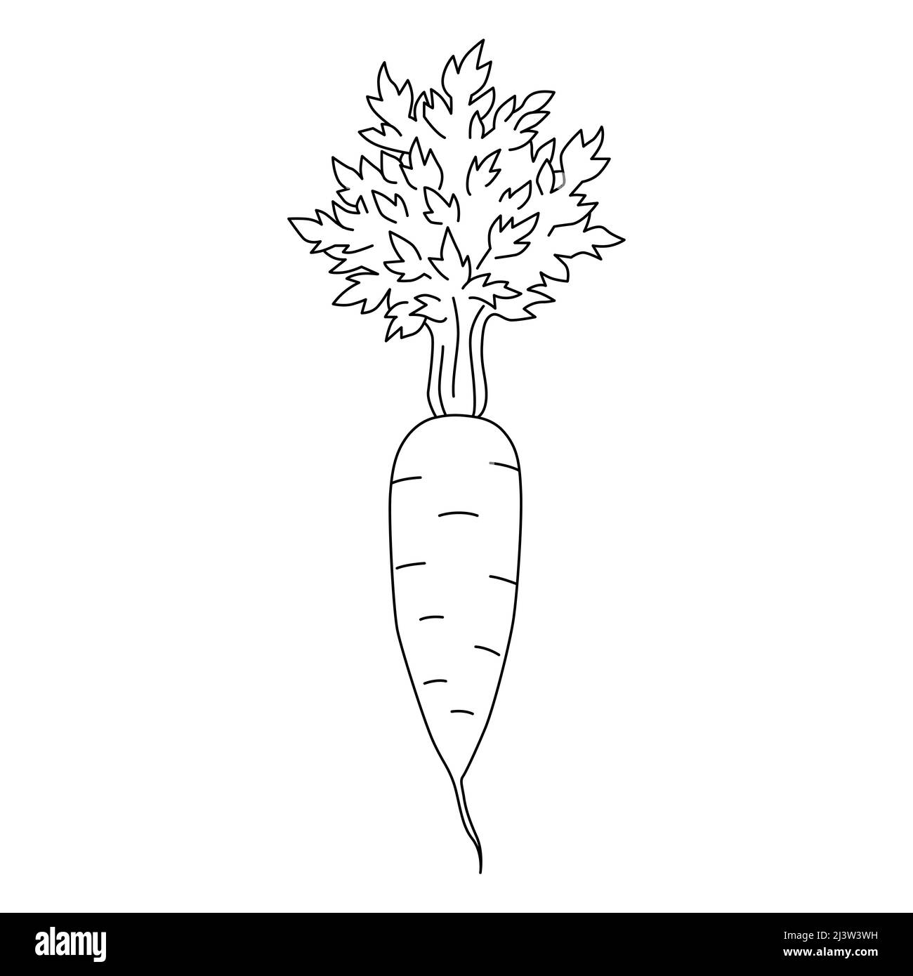 Carrot in cartoon style. Black and white vector illustration for coloring book Stock Vector