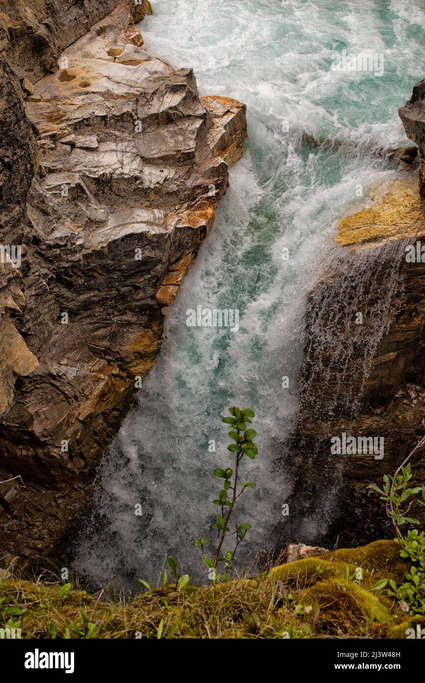 Tokumm Creek Falls, Marble Canyon. Kooteny National Park, Canada Stock Photo
