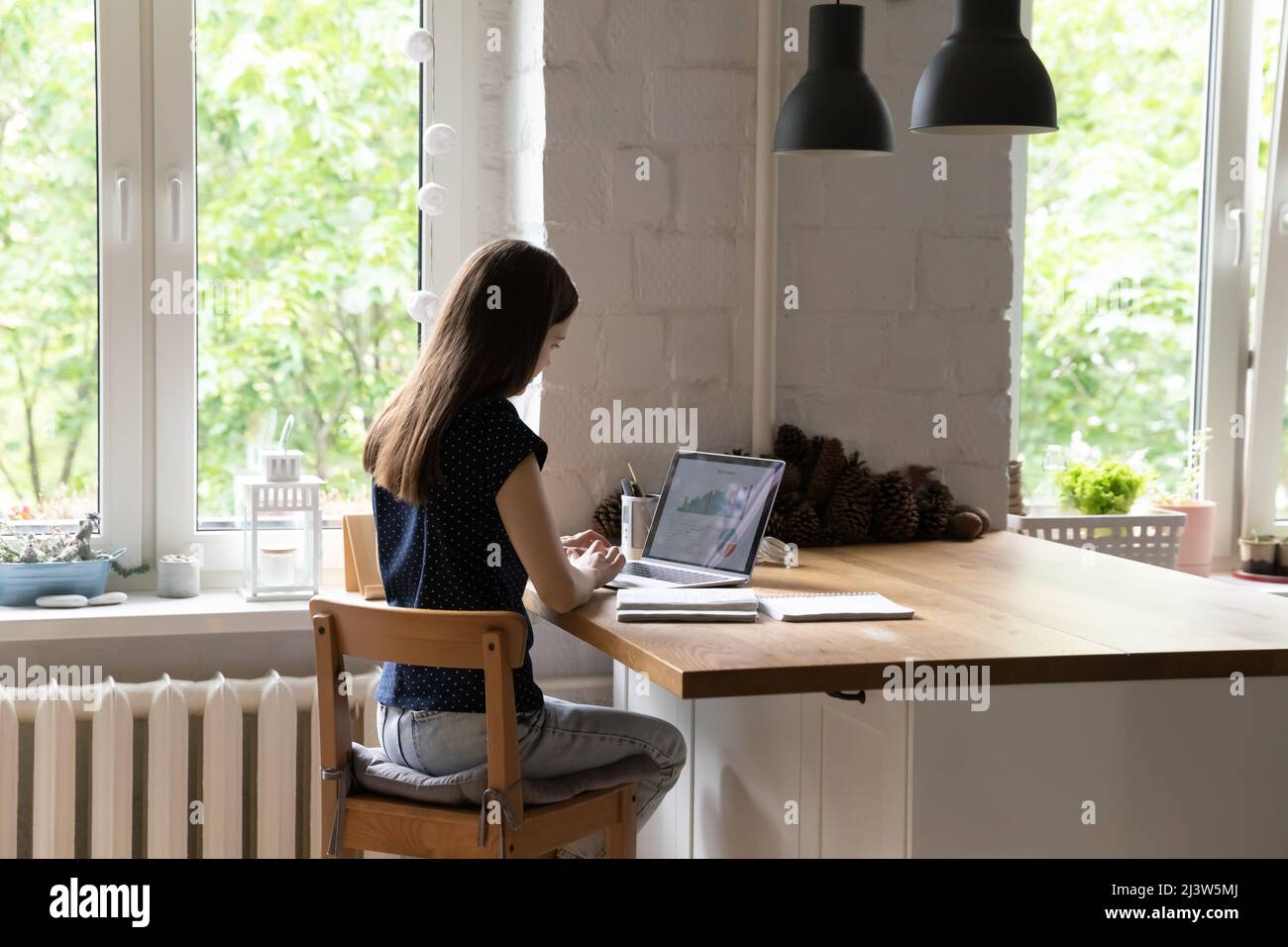 Side view woman analyze statistical data working indoor use laptop Stock Photo