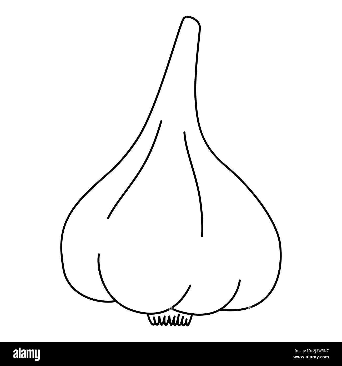 Cartoon bulb of garlic. Black and white vector illustration for coloring book. Healthy organic vegan food. Proper nutrition Stock Vector