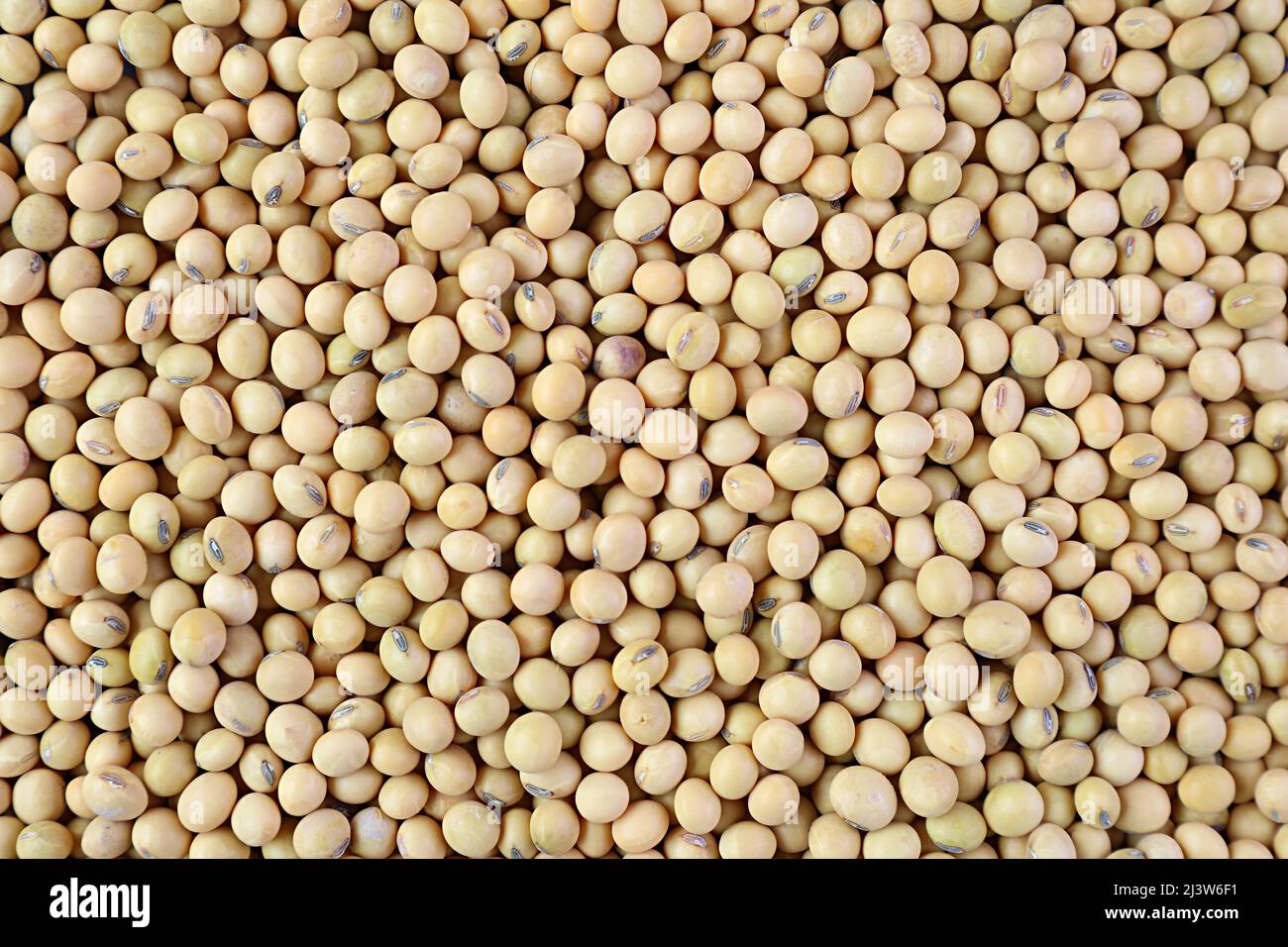 Top view of heap of dried soybeans for backdrop or banner Stock Photo