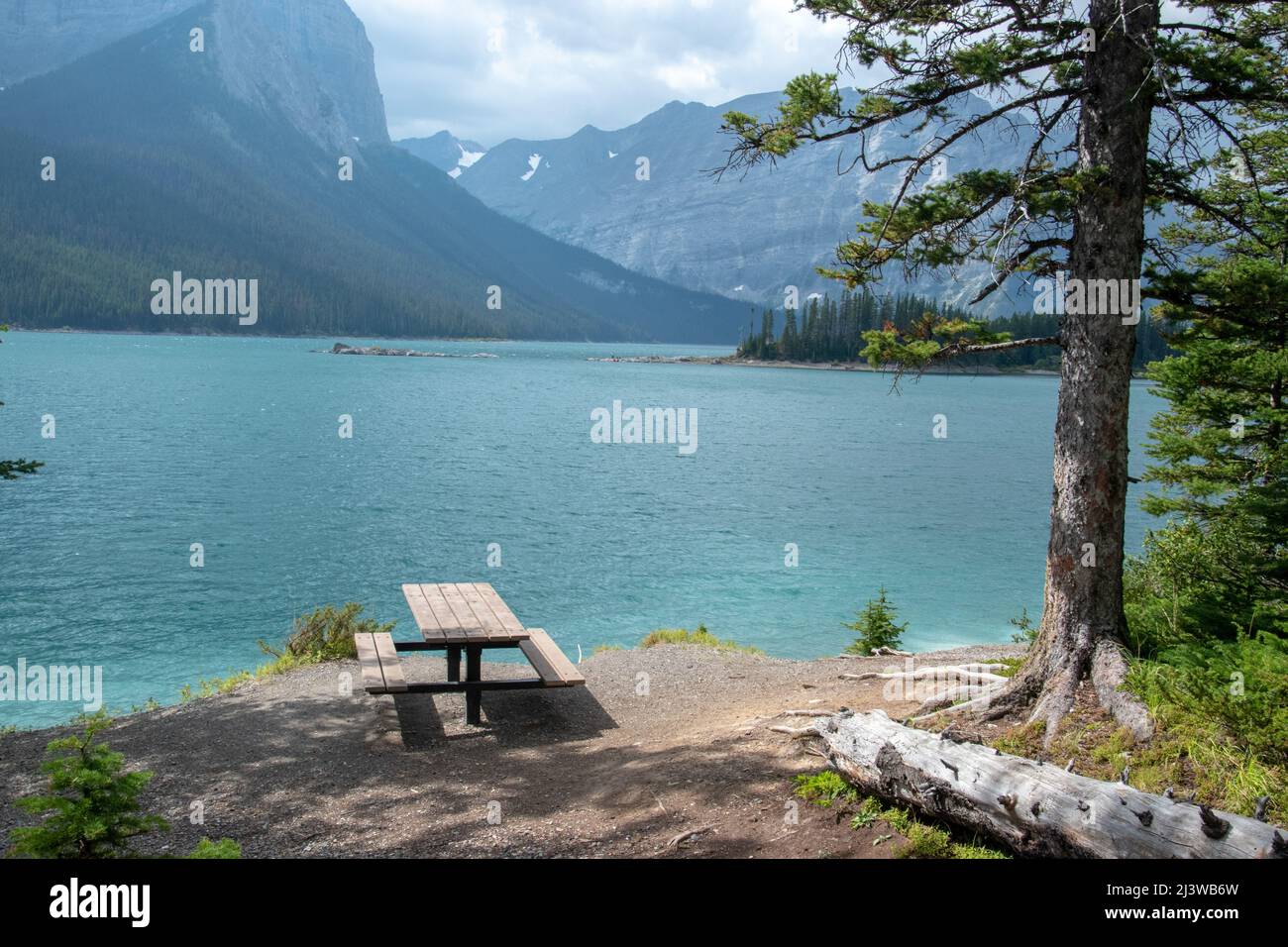 Picnic table in the day use area of Lower Kananaskis Lake, Kananaskis