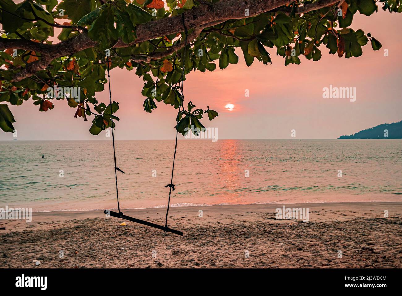 Silhouette of leafy Ketapang tree or beach almond tree (Terminalia catappa) with a swing hanging from it during sunset at Teluk Segari Beach, Malaysia. Stock Photo