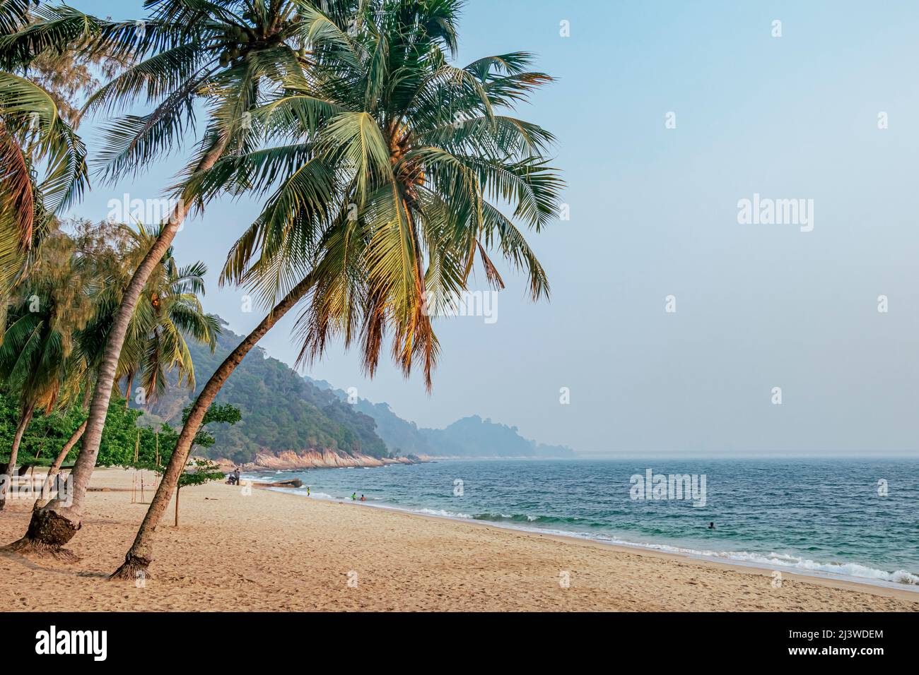 Sandy beach with coconut trees at Pantai Teluk Batik Beach off Lumut in Perak State of Malaysia. Stock Photo