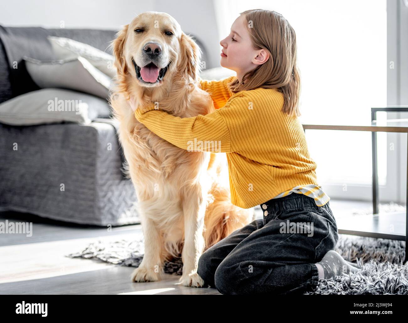 Preteen girl with golden retriever dog Stock Photo - Alamy