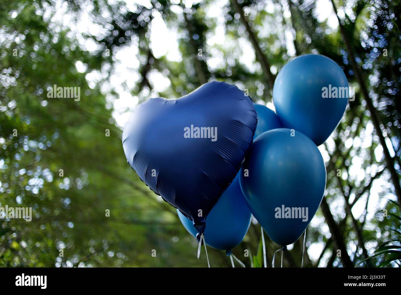 colorful balloons blue color outdoors - birthday party and revelation tea concept Stock Photo