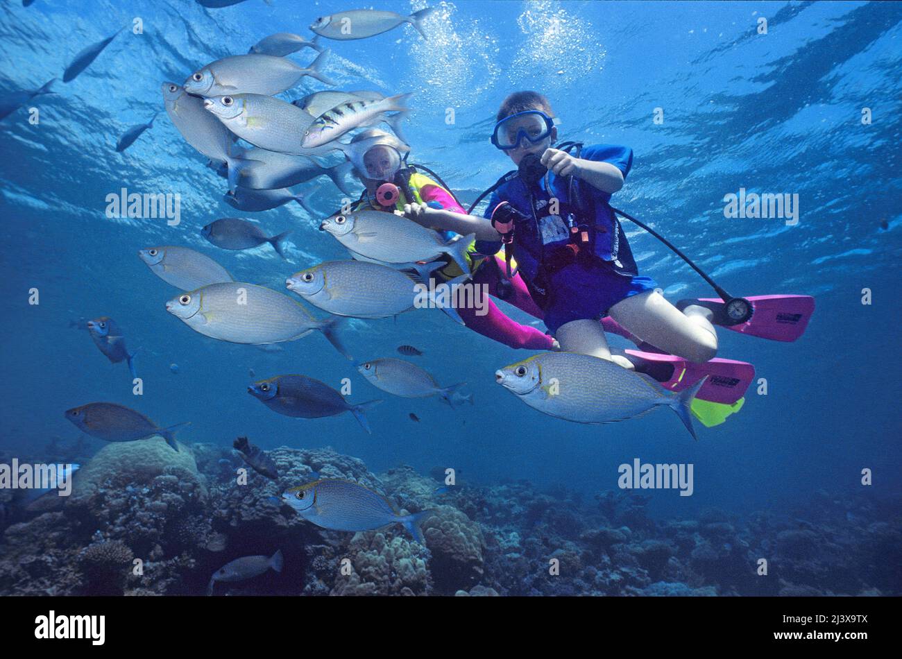 Rabbit fishes hi-res stock photography and images - Alamy