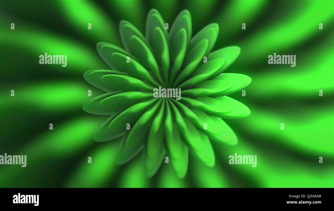 Flower 360 Rotation Beautiful 3d flower rotating in center. Motion. 3D flower with rotating ...