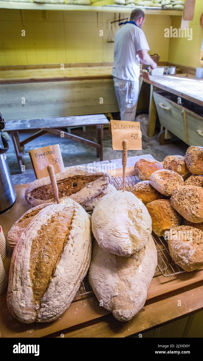 Baker at work making bread in the artisan bakery of ' A ' in the