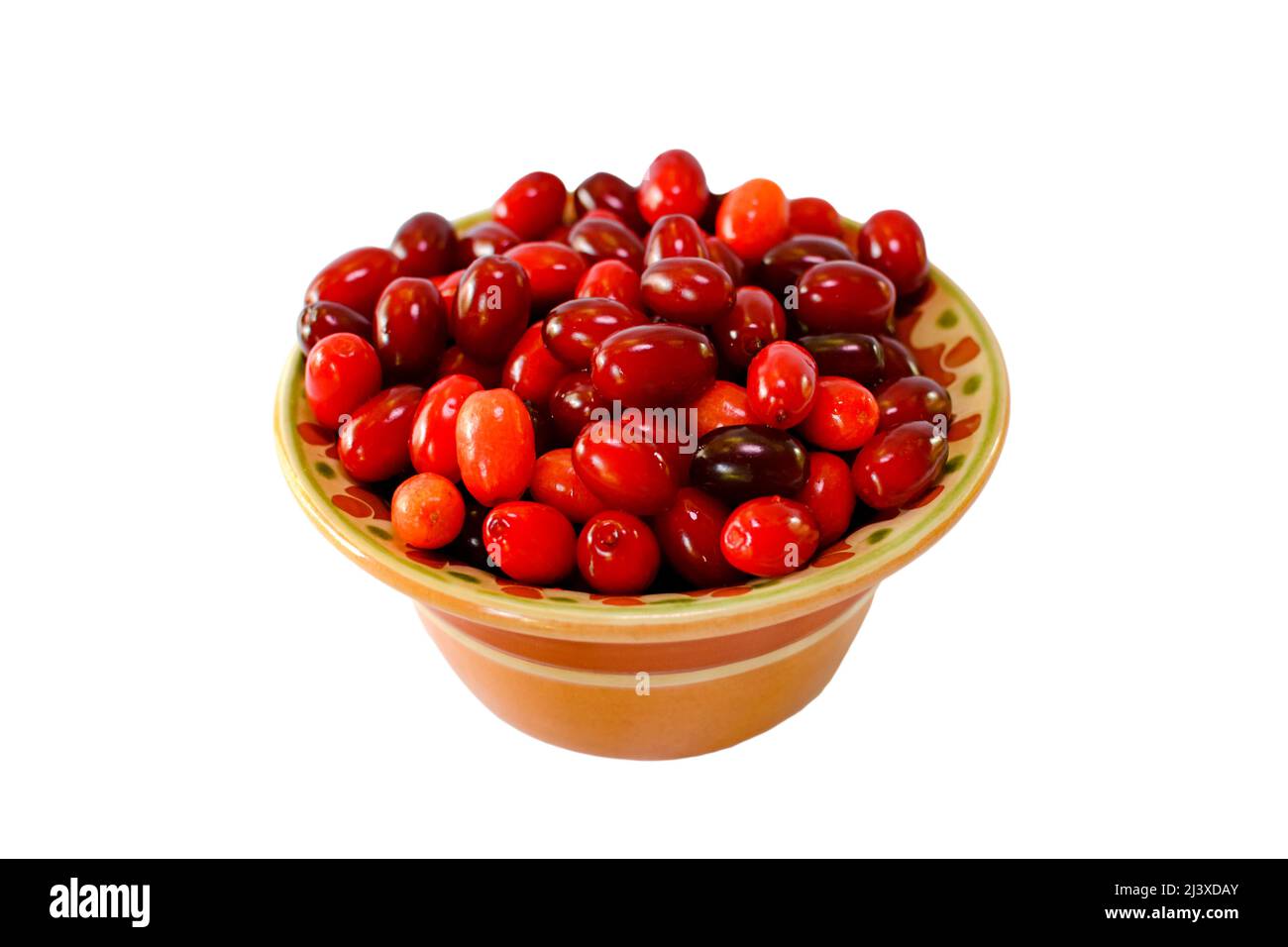 Red berries ripe dogwood in a clay plate. Side view Stock Photo