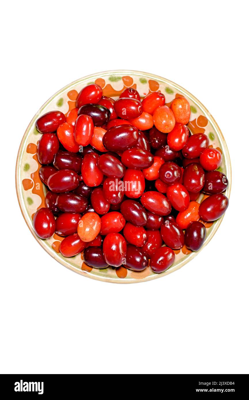 Red berries ripe dogwood in a clay plate.View from above Stock Photo