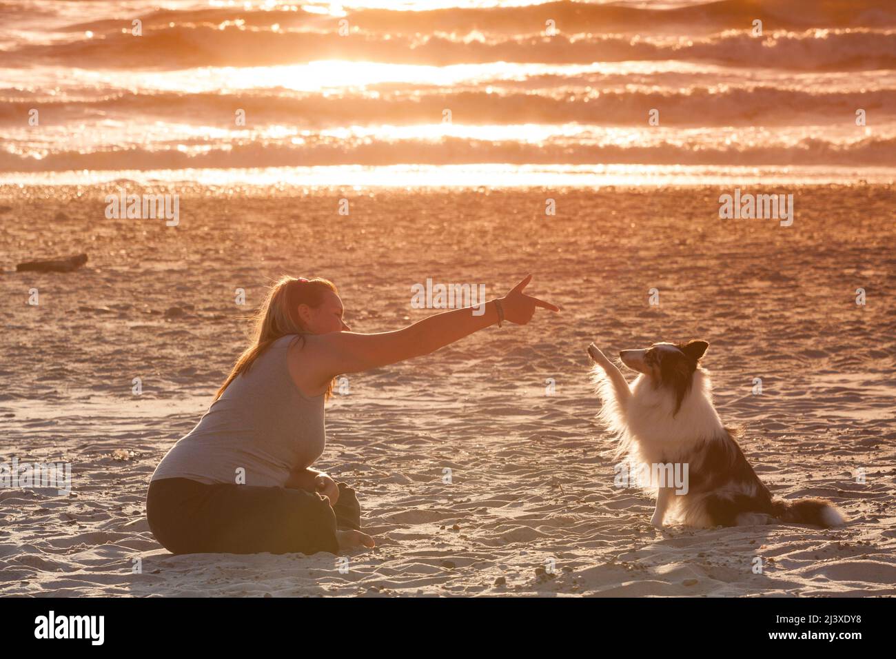 Mensch und Hund am Strand Stock Photo