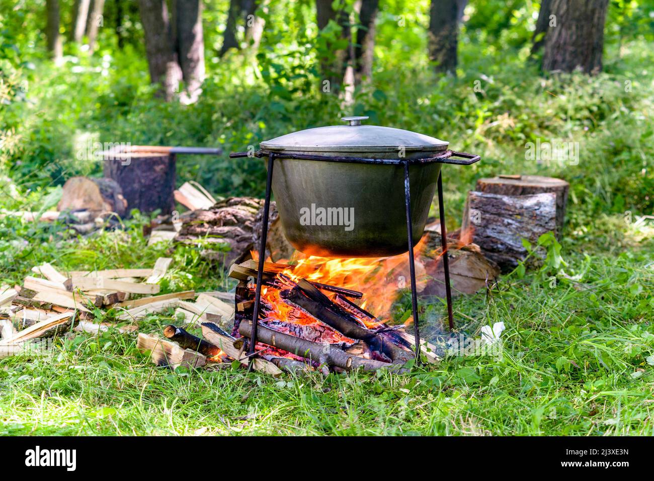 Above fire hanging pot for food in the forest Stock Photo - Alamy