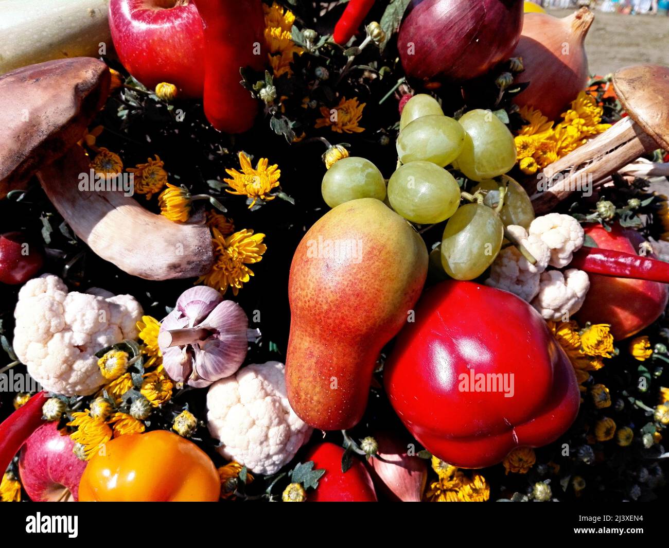 Autumn arrangement of fruits and vegetables Stock Photo - Alamy