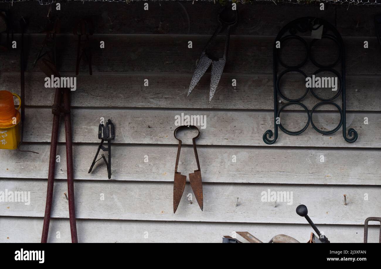 traditional blade sheep shears, england Stock Photo Alamy