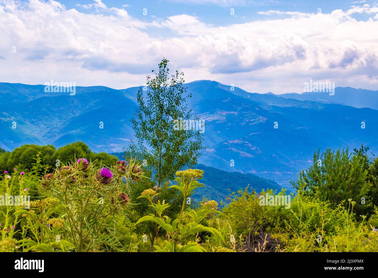 Western Rhodopes Beautiful Rhodopes mountains ridges seen from Bekovi Skali near ...