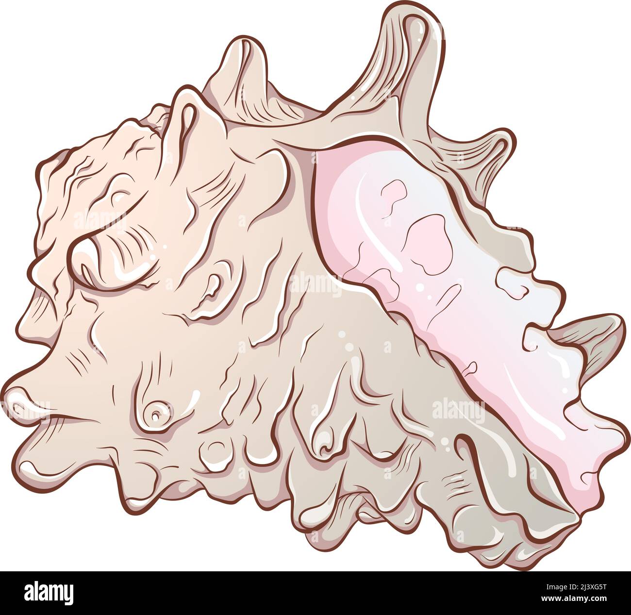 Spike Shell Designs Spiral spiked seashell color Stock Vector Image & Art - Alamy