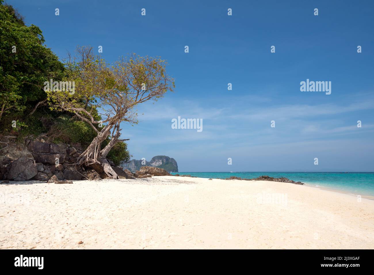 Exotic tree on a empty tropical island beach with sea view. Exotic Landscape. Bamboo Island, Thailand (Koh Phai) Stock Photo