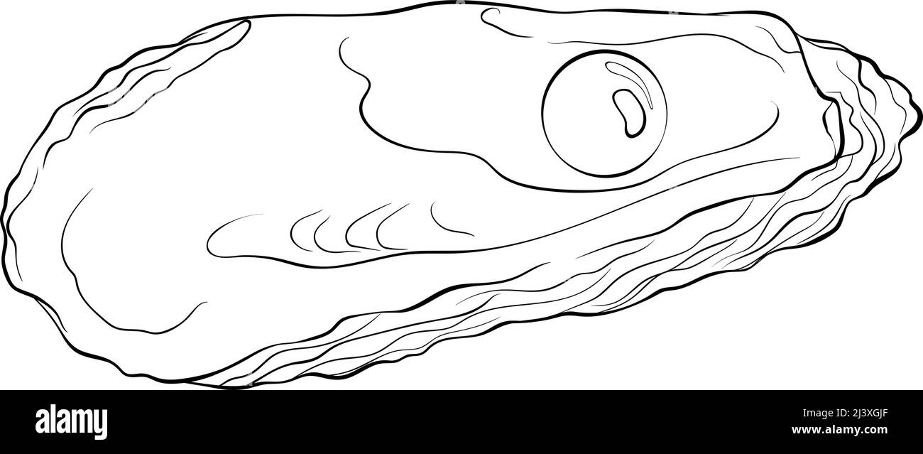 Oyster shell with pearl line art Stock Vector Image & Art Alamy