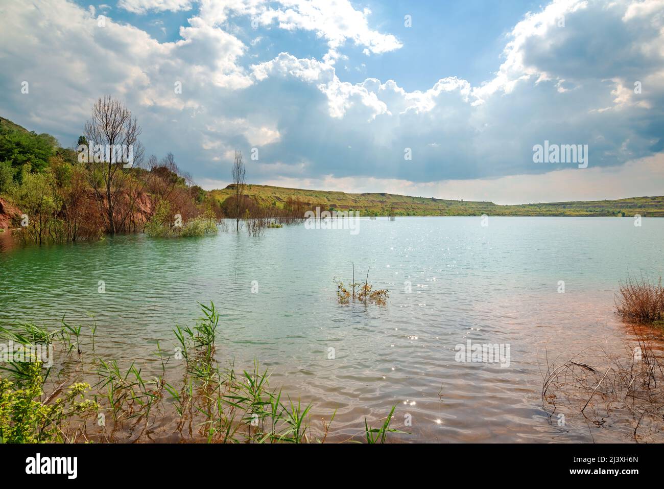 Colorful mine lake landscape with trees, blue sky and beautiful clouds. Stock Photo